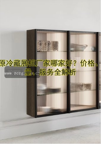 冰原冷藏展柜厂家哪家好?价格、质量、服务全解析