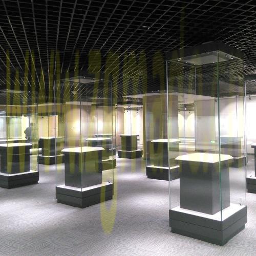 展柜制作的发展趋势 (展示柜制造的发展趋势)