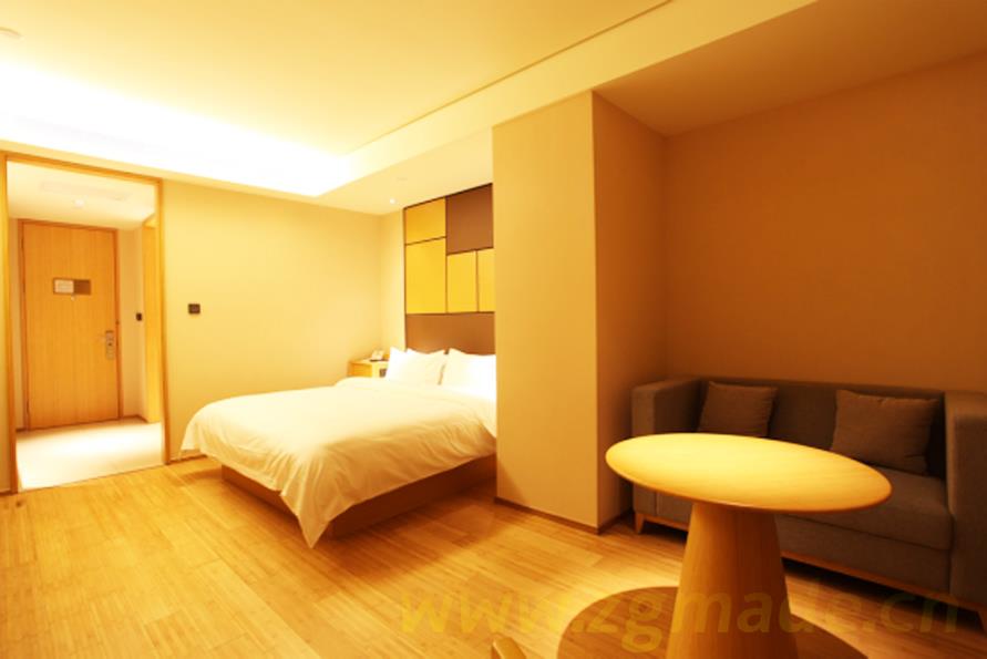 与灵闪展览合作 免费送星级酒店 ()